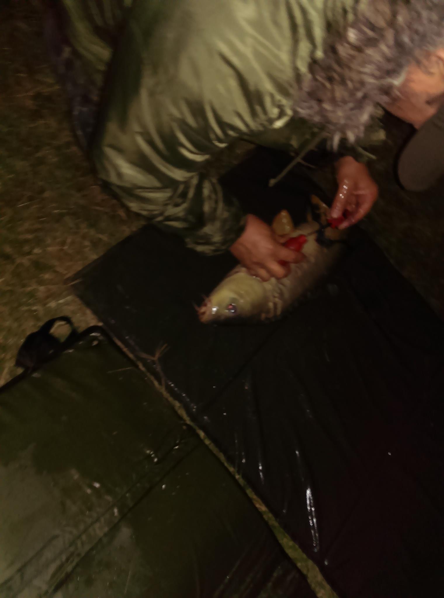 moara vlasiei 2013 - imag0671-1.JPG